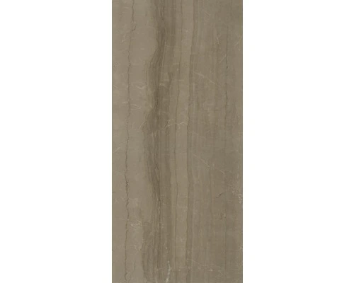 XXL Wandtegel Living Cinnamon Gepolijst 120x260 Cm 7 Mm 4 XXL Wandtegel Living Cinnamon Gepolijst 120x260 Cm 7 Mm - Afbeelding 2