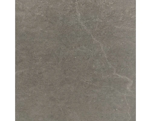 Wand- En Vloertegel Calcatta Pearl 90x90 Cm Gerectificeerd 3 Wand- En Vloertegel Calcatta Pearl 90x90 Cm Gerectificeerd