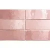 Wandtegel Handvorm Rose Mallow 6,5x20 Cm -Vloertegels Winkel DV 8 10262719 01 4c DE 20200211191654
