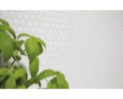 Keramisch Mozaïek Knop 100N Wit 30,5x32 Cm 17 Keramisch Mozaïek Knop 100N Wit 30,5x32 Cm -Vloertegels Winkel DV 8 10284686 01 4c DE 20200319084655