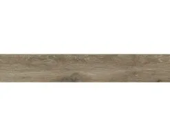 Wand- En Vloertegel Count Henna 20 X 120 Cm Gerectificeerd 19 Wand- En Vloertegel Count Henna 20 X 120 Cm Gerectificeerd -Vloertegels Winkel DV 8 10390283 04 4c DE 20220824121753