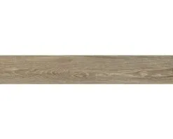 Wand- En Vloertegel Count Henna 20 X 120 Cm Gerectificeerd 21 Wand- En Vloertegel Count Henna 20 X 120 Cm Gerectificeerd -Vloertegels Winkel DV 8 10390283 06 4c DE 20220824121753