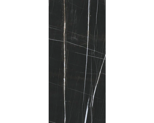 XXL Wandtegel Scandium Black Gepolijst 120x260 Cm 7 Mm 4 XXL Wandtegel Scandium Black Gepolijst 120x260 Cm 7 Mm - Afbeelding 2