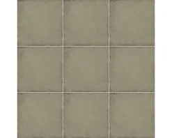 Wand- En Vloertegel Anuvo Cypress Green 20x20 Cm