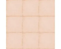 Wand- En Vloertegel Anuvo Coral Pink 20x20 Cm