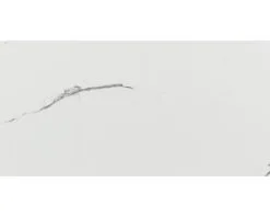 Wand- En Vloertegel Taura White Gepolijst 60x120 Cm Gerectificeerd