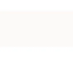 Wandtegel Wit Glans 40x20 Cm