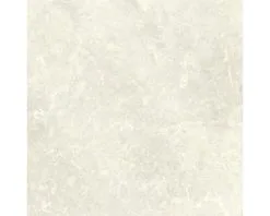 Wand- En Vloertegel Nilson Bone Beige 60x60 Cm Gerectificeerd