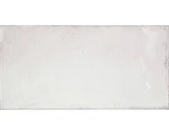 Wandtegel Vita Blanco 10x20 Cm