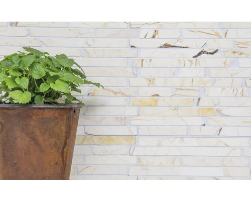 Natuursteen Mozaïek MOS Brick 2807 Beige/goud Mix 30,5x32,2 Cm 11 Natuursteen Mozaïek MOS Brick 2807 Beige/goud Mix 30,5x32,2 Cm - Afbeelding 9