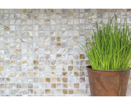 Schelp Mozaïek SM 203 Beige 30,5x30,5 Cm 6 Schelp Mozaïek SM 203 Beige 30,5x30,5 Cm - Afbeelding 4