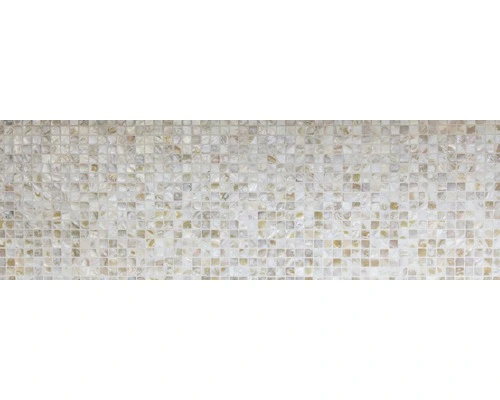 Schelp Mozaïek SM 203 Beige 30,5x30,5 Cm 7 Schelp Mozaïek SM 203 Beige 30,5x30,5 Cm - Afbeelding 5