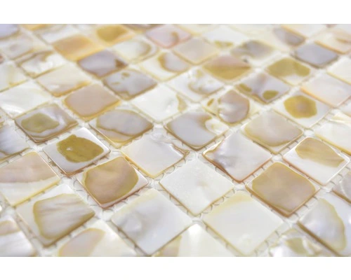 Schelp Mozaïek SM 203 Beige 30,5x30,5 Cm 9 Schelp Mozaïek SM 203 Beige 30,5x30,5 Cm - Afbeelding 7