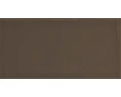 Wandtegel Verm Woody Grey 10x20 Cm