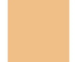 Wandtegel Uni Glans Naranja 20x20 Cm