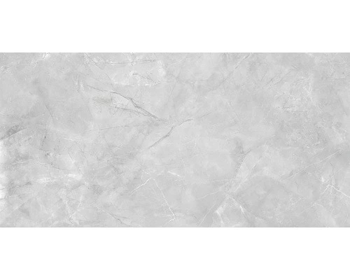 Wand- En Vloertegel Premium Marble Messina Grijs 60x120 Cm 10 Wand- En Vloertegel Premium Marble Messina Grijs 60x120 Cm - Afbeelding 8