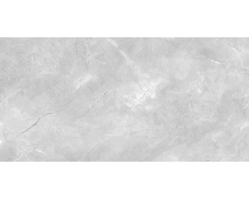 Wand- En Vloertegel Premium Marble Messina Grijs 60x120 Cm 6 Wand- En Vloertegel Premium Marble Messina Grijs 60x120 Cm - Afbeelding 4