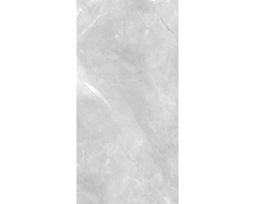 Wand- En Vloertegel Premium Marble Messina Grijs 60x120 Cm 5 Wand- En Vloertegel Premium Marble Messina Grijs 60x120 Cm - Afbeelding 3