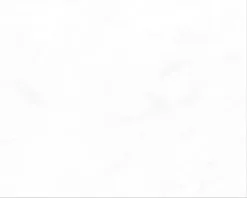 RAKO Wandtegel Marmer Grijs Glans 20x25 Cm